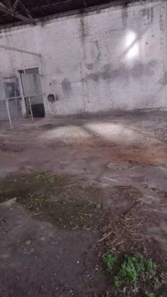 Imagem Alugo Galpão em Santo André, Vila Vilma