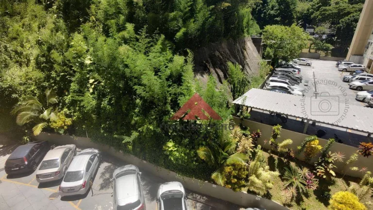 Imagem artamento em santa rosa com otima localização,vista para mata(verde)acorde com passaros cantando em sua janela.colado ao super mercado Real,a 800metro