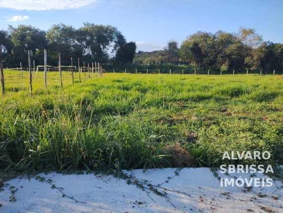 Imagem Terreno medindo 10 x 30 metros a venda no Parque São Domingos Pindamonhangaba SP