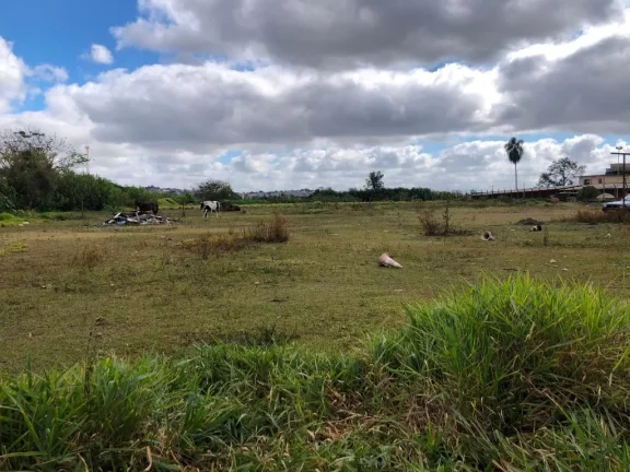 Imagem Área comercial à venda, Parque Santa Rosa, Suzano, com 100 metros de Frente para a Estrada dos Fernandes.