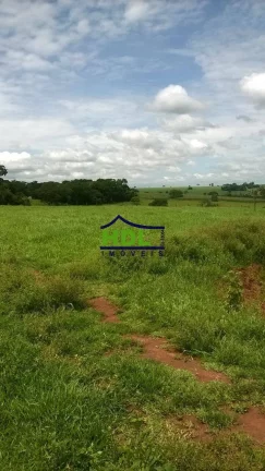 Imagem FAZENDA 38,5 ALQS TRIPLA APTIDÃO MUITA ÁGUA EM PIRACANJUBA - GO.