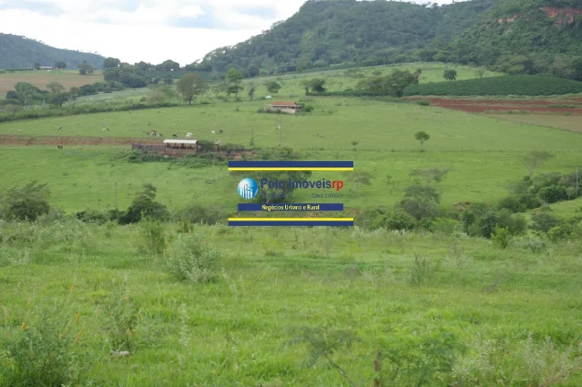 Imagem Fazenda 40 alqueires com estrutura, casa, água, energia, altitude para plantar café e gado, cidade Santo Antônio da Alegria - SP