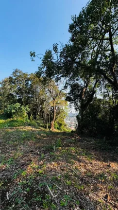 Imagem Chácara - Sítio com 1 Dormitorio(s) localizado(a) no bairro Zona Rural em Nova Hartz / RIO GRANDE DO SUL Ref.:1583
