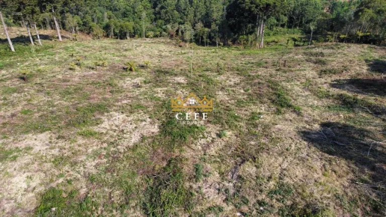 Imagem Chácara - Sítio com 2 Dormitorio(s) localizado(a) no bairro Linha Tapera em Gramado / RIO GRANDE DO SUL Ref.:1516
