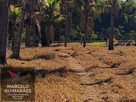 Imagem Propriedade Rural em Guaimbê, SP - 12 Alqueires Sitio Valenciano