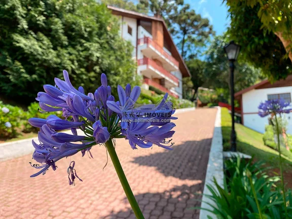 Imagem Apartamento à venda em Campos do Jordão - Ampla Cobertura c/ Charme Alpino