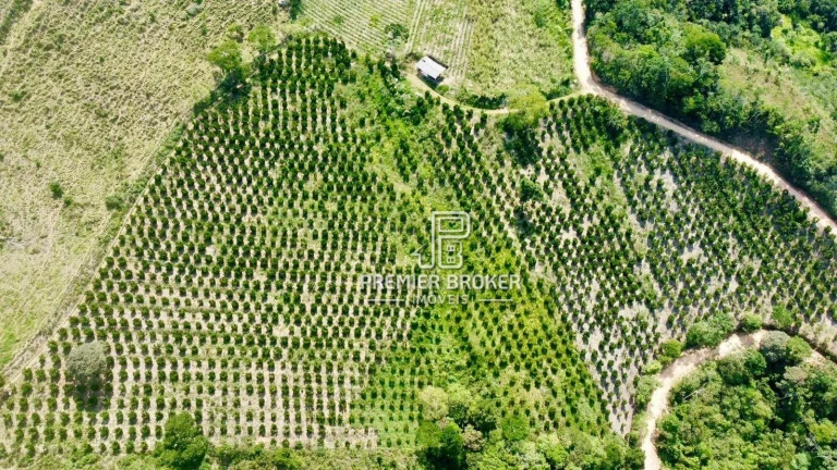Imagem Sítio à venda, 90000 m² por R$ 900.000,00 - Fazenda Alpina - Teresópolis/RJ