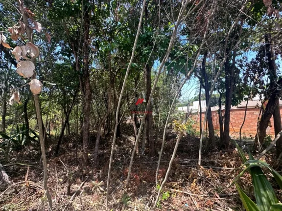 Imagem Lote - Bairro Campinho - Lagoa Santa
