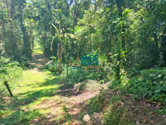 Imagem AREA DE FRENTE PARA A RODOVIA OSWALDO CRUZ (6 KM DO CENTRO)