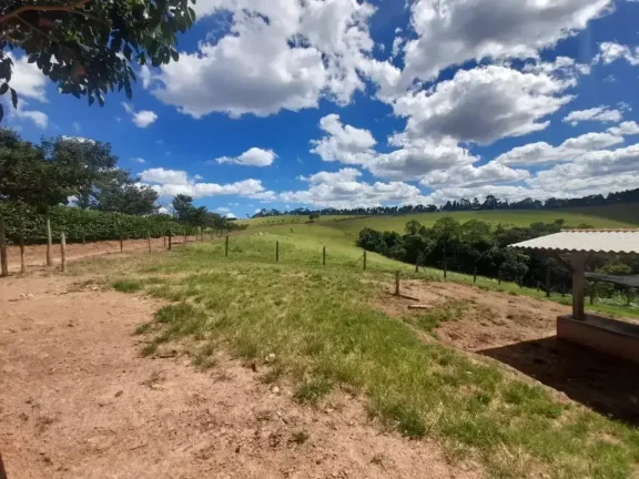 Imagem Fazenda à venda em Ibertioga, ZONA RURAL, 148ha