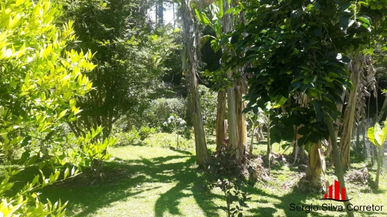 Imagem Chácara a Venda na Região do Zé da Rosa em Santo Antônio do Pinhal.