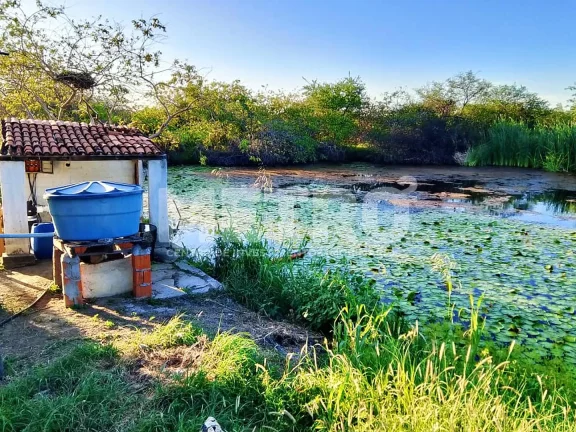 Imagem Fazenda de com 20 hectares produzindo e com Infraestrutura, CASA NOVA - BA