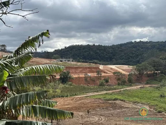 Imagem Área para Incorporação - 18.455m² Km 36 Rap. Tavares