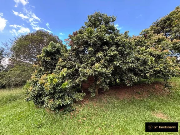 Imagem Sítio à venda na Região de Atibaia/SP - 33.000m² por R$999.000!