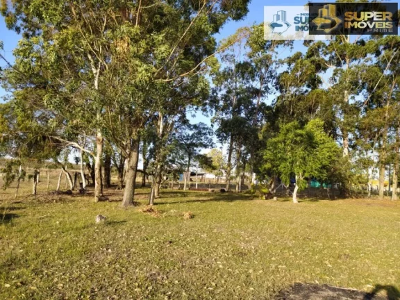 Imagem Chácara para Venda em Quinta Rio Grande-RS - 1381
