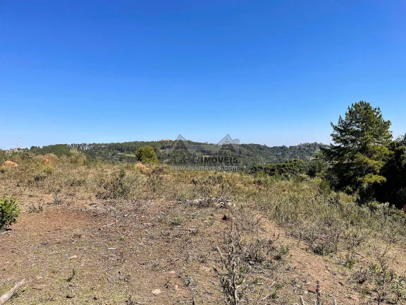 Imagem Terreno 5.268 m² no Alto da Boa Vista em Campos do Jordão com ZR3