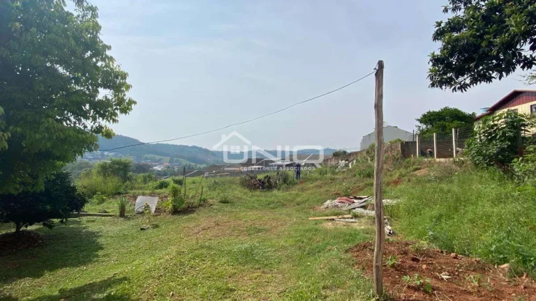 Imagem Terreno Urbano Francisco Beltrão