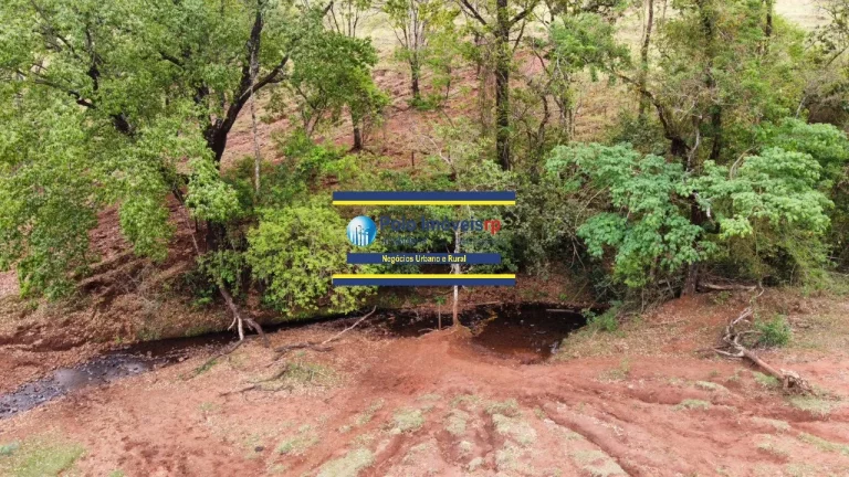 Imagem Fazenda 181 hectares montada para criação de bovinos até 220 cabeças e planta café, próximo de Altinópolis - São Paulo.