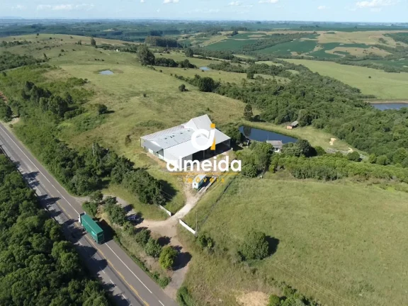 Imagem Área à venda com 10.95 ha frente para BR 392 e 7 km de São Sepé (RS)