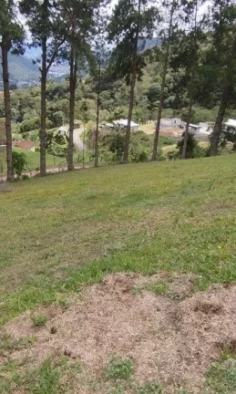 Imagem Terreno para Venda em Nova Friburgo, Cascatinha