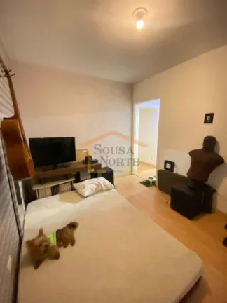 Imagem Apartamento, 62m², dispõe de 2 dormitórios, 1 banheiro, sala para dois ambientes, armários na co...