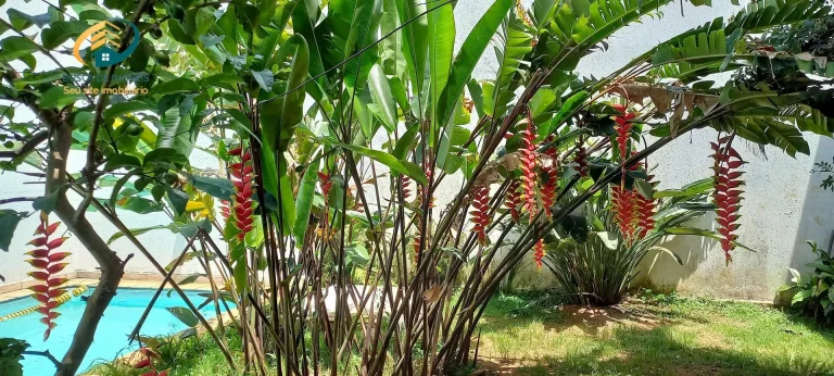 Imagem Casa à venda no bairro Planalto Paulista - São Paulo/SP, Zona Sul