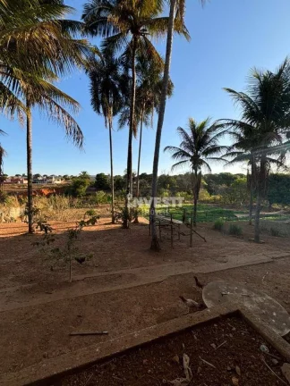 Imagem Chácara à venda no Jardim Helvécia Complemento - Aparecida de Goiânia/GO