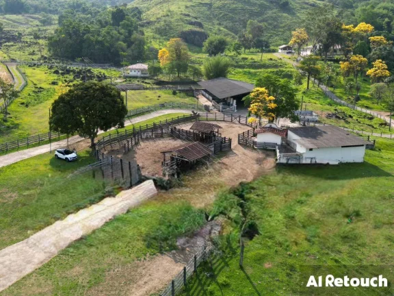 Imagem Vendo Fazenda Araruama município de Basilio com 350 cabeças de Gados