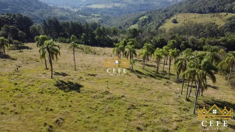 Imagem Chácara - Sítio com 2 Dormitorio(s) localizado(a) no bairro Zona Rural em Três Coroas / RIO GRANDE DO SUL Ref.:1390