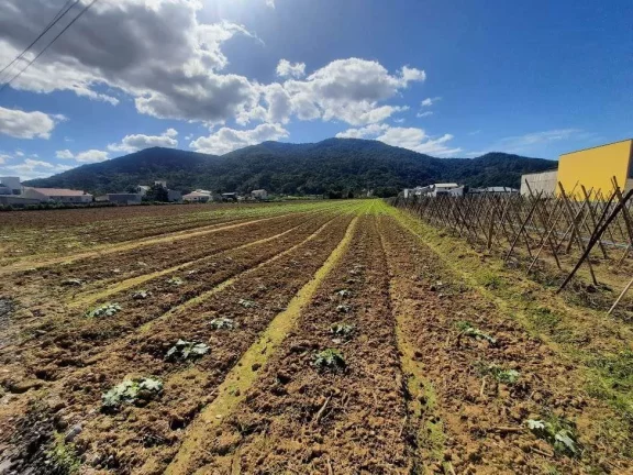 Imagem Terreno à Venda, Plano, Nível da Rua, com 11.089 m2. Sul do Rio, Santo Amaro da Imperatriz, SC