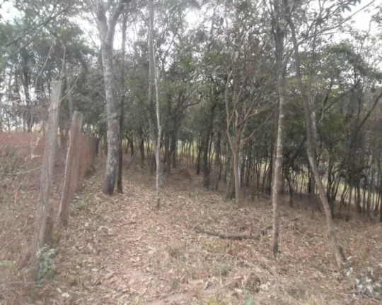 Imagem Oportunidade! área de 6.000 m² .