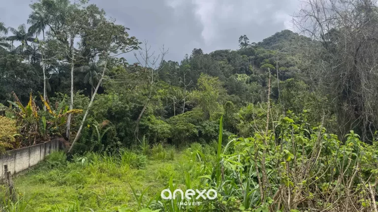 Imagem Excelente Oportunidade no Bairro Progresso em Blumenau – Terreno com Duas Casas!