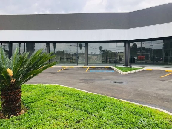 Imagem Comercial, Eucaliptos - Fazenda Rio Grande