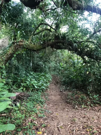 Imagem Fazenda à Venda, 840.000 m² em Mazomba - Itaguaí