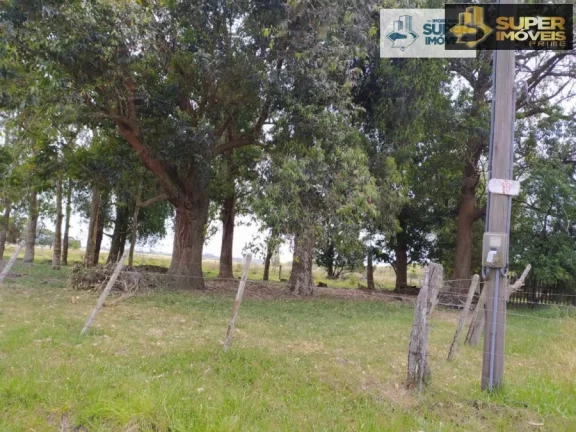 Imagem Chácara para Venda em Quinta Rio Grande-RS - 1381