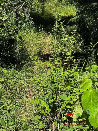 Imagem Terreno a Venda na Região da Cidade do Sol em Campos do Jordão -SP.