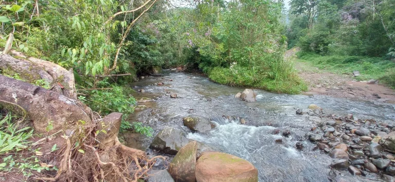 Imagem Área rural à venda em Santa Rosa de Lima/SC