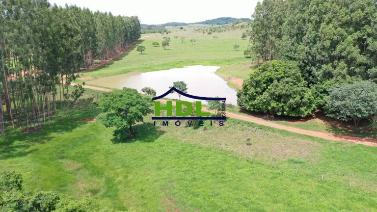 Imagem Fazenda Top de 165 Alqs em Padre Bernardo GO