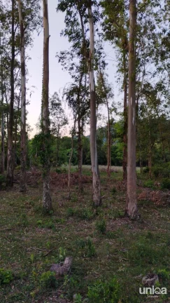 Terreno à venda c/ 2.500 m², na Estrada do Radar/Silveira Martins