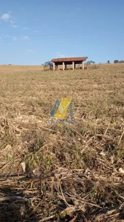 Imagem Investidores e compradores que buscam valorização e expansão patrimonial