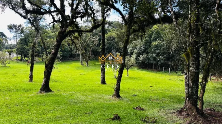 Chácara - Sítio com 3 Dormitorio(s) localizado(a) no bairro Vila Mina em Canela / RIO GRANDE DO SUL Ref.:1562