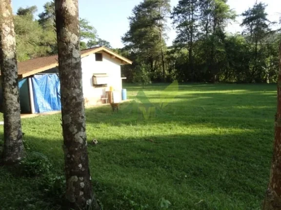 Imagem Sítio Sereno em Piracaia 35 Mil m² de Pura Natureza com Riacho e Cachoeira