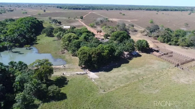 Imagem Fazenda à Venda, 46.464.000 m² em Zona Rural - Peixe