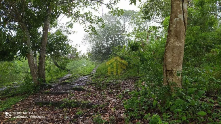 Imagem Fazenda com terreno de 14.888 hectares à venda em Paudalho, Pernambuco