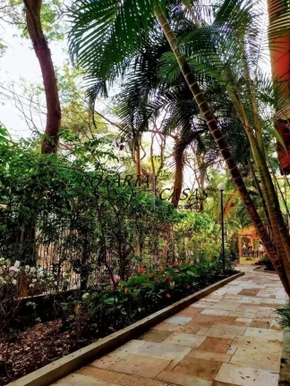 Imagem CHÁCARA FLORA- Apto em condomínio clube arborizado e cheio de facilidades