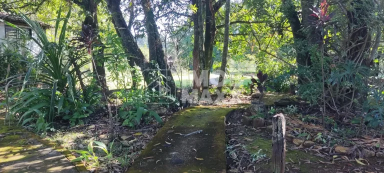 Imagem Chácara à Venda em Paranoá - DF250 - Fazenda Velha - 6,2 hectares - Escriturada e registrada.