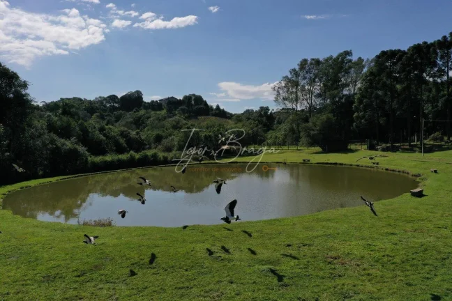 Imagem Chácara em Campo Largo com lago a venda