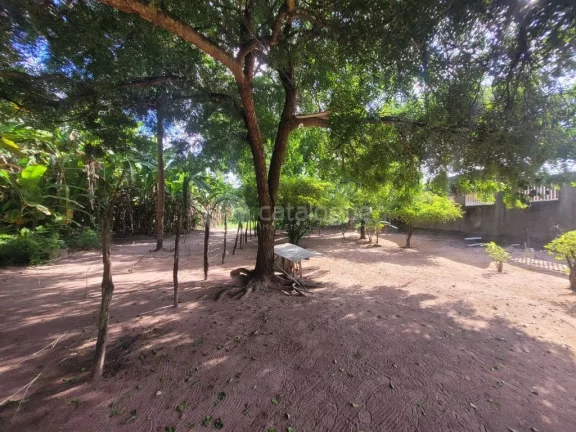 Imagem ÁREA COMERCIAL NA TOMAZ LANDIM
