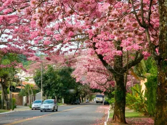 Imagem Terreno à venda, Loteamento Caminhos de San Conrado - Campinas/SP