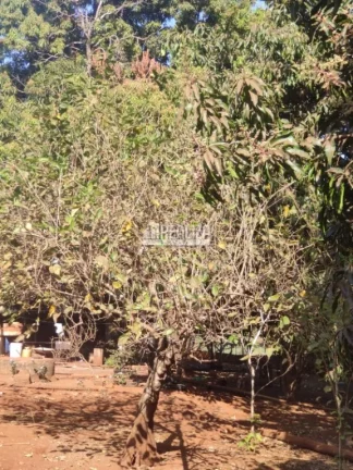Imagem Chácara à venda próximo à Delta: seu refúgio rural na cidade